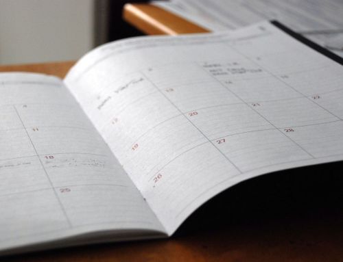 How to Plan Your Project Timeline Around Plant Hire Availability